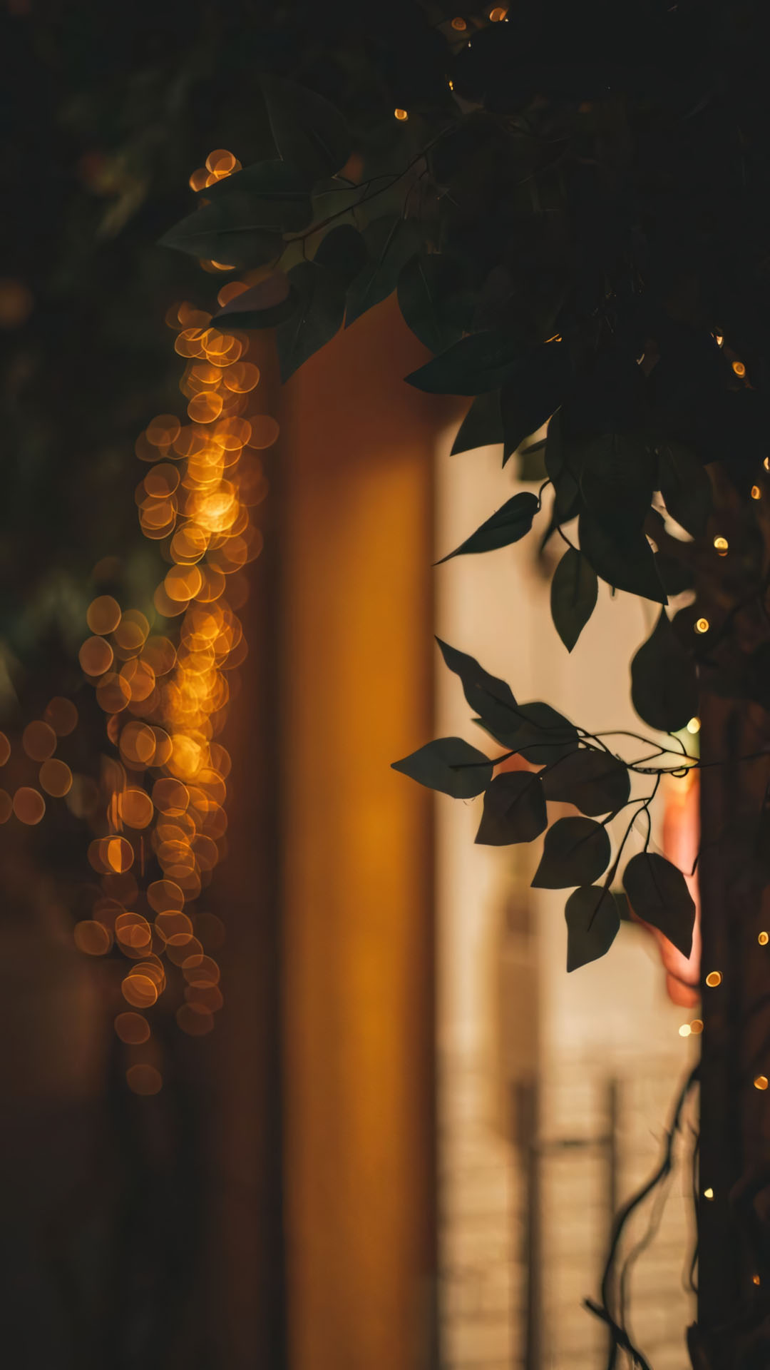 la cay ben rem vang nang chieu am ap 1920px 1080px full hd