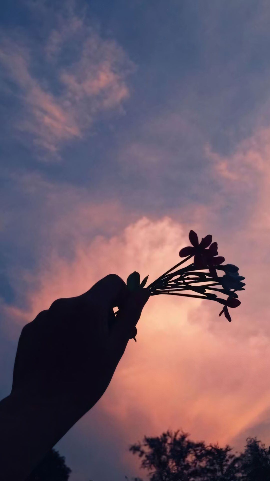 co gai cam hoa truoc hoang hon tim mong cho ai do 1920px 1080px full hd