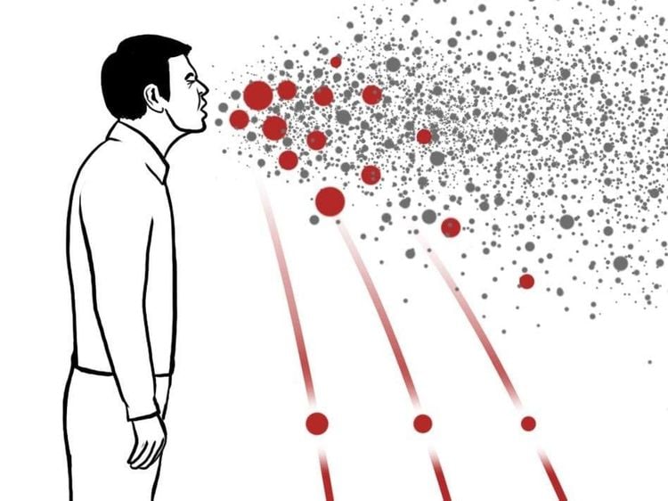 Nhiều nguồn bệnh truyền nhiễm do virus gây ra lây truyền trực tiếp từ người sang người