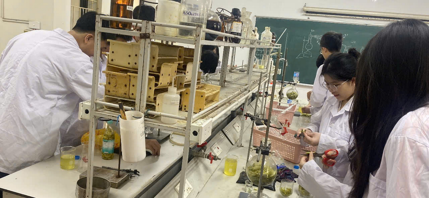 hoat dong trai nghiem lop 11 1