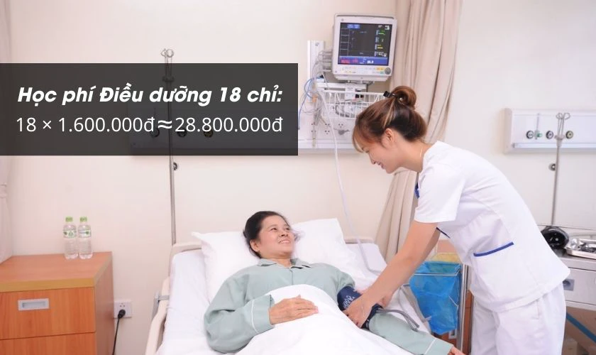 Cách tính học phí trường Đại học Nam Cần Thơ