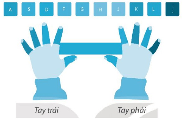 Giải VBT Tin học 3 Kết nối tri thức bài 5