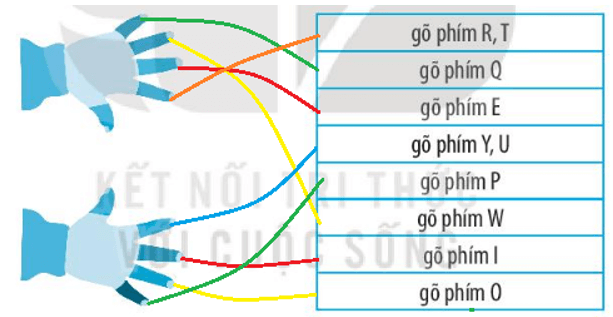 Giải VBT Tin học 3 Kết nối tri thức bài 5