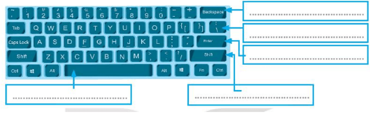 Giải VBT Tin học 3 Kết nối tri thức bài 5