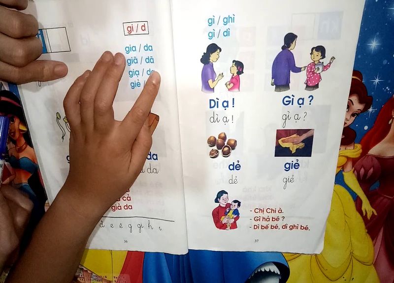 Quy tắc chính tả để phân biệt việc sử dụng âm d và gi (Ảnh: Sưu tầm internet)