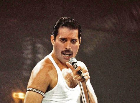 Freddie Mercury - elle man 6