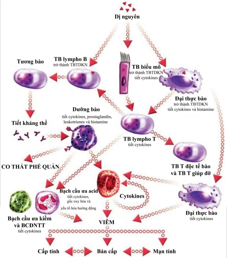 kieu hinh cua co the la ket qua cua 2
