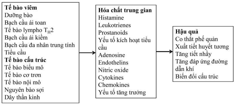 kieu hinh cua co the la ket qua cua 3