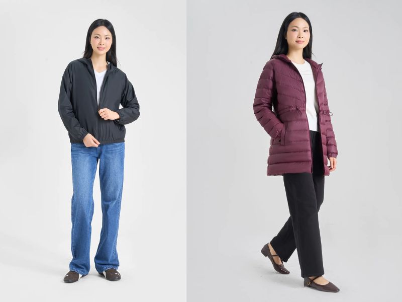 màu nào sau đây hấp thụ nhiệt tốt nhất