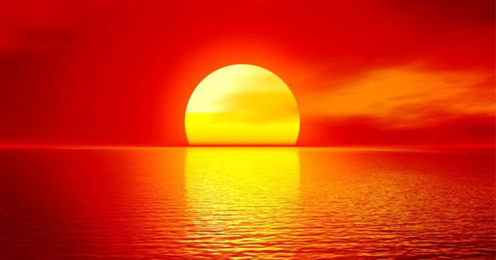 mo bai phan tich tu ay