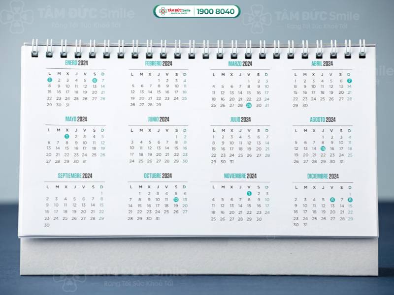 mot nam co bao nhieu thang 1