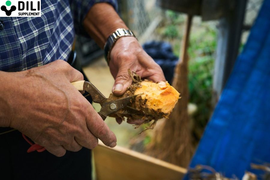 viên uống giải rượu Huyền thoại DiLi Okinawa