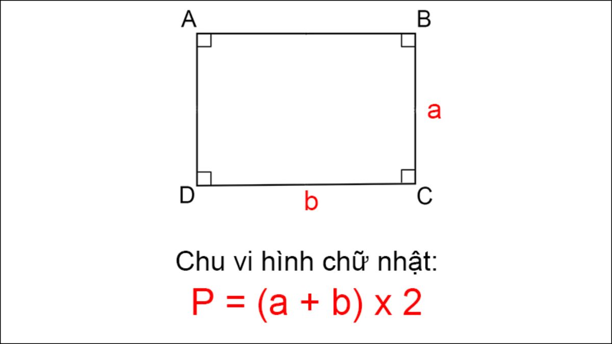 Công thức tính chu vi hình chữ nhật