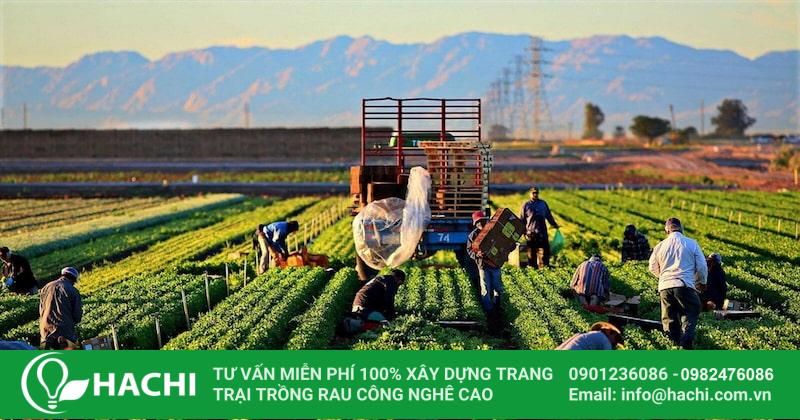 Các mặt hàng xuất khẩu tại Việt Nam