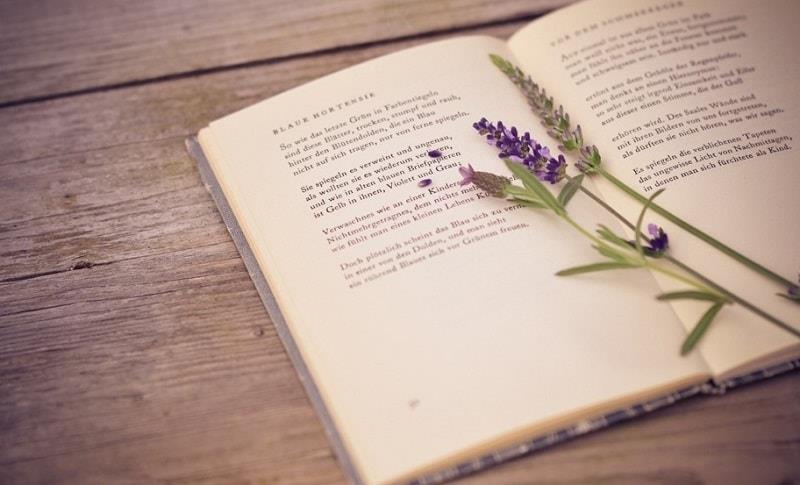 Văn bản hành chính cá biệt