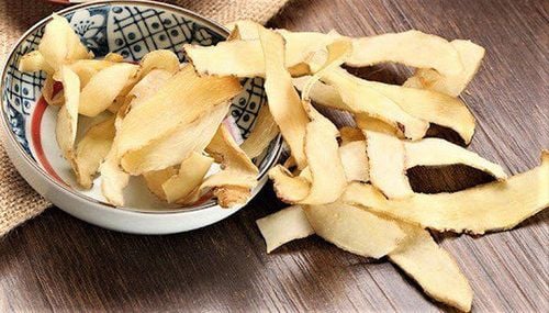 Tác dụng của cây ngọc trúc được ứng dụng trong đông y