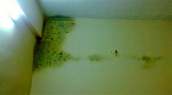 nguyen nhan hien tuong nom am o mien bac nuoc ta 2