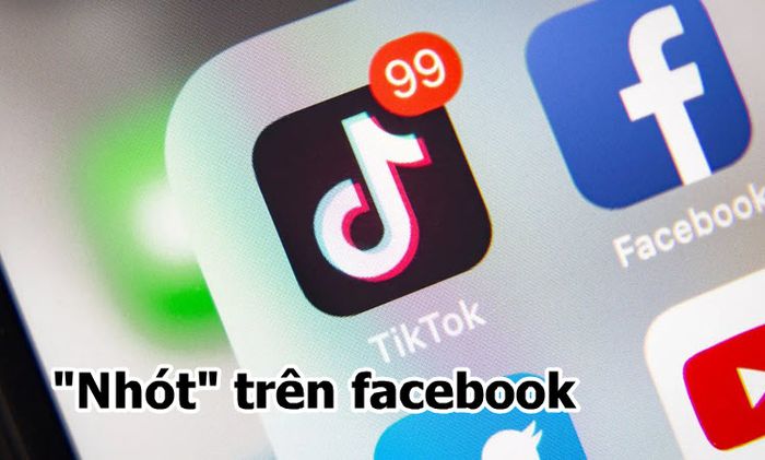 nhot co nghia la gi 3