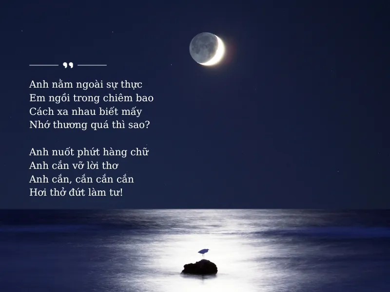 tho-han-mac-tu-voh-7