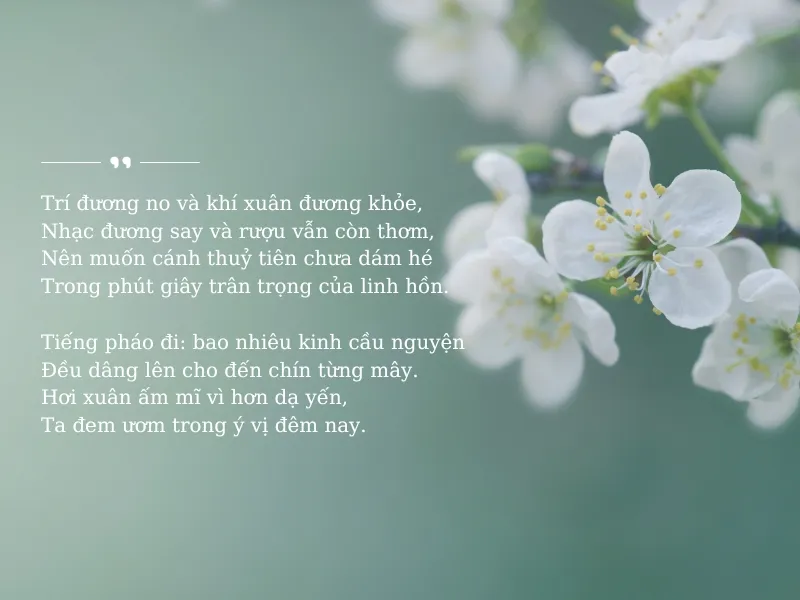 tho-han-mac-tu-voh-8