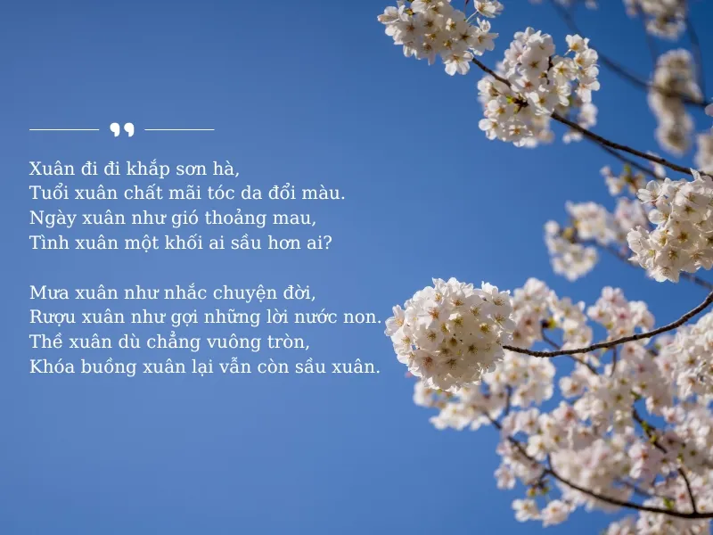 tho-han-mac-tu-voh-9