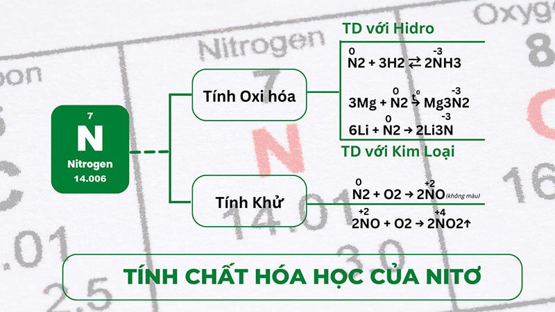 nito-hoa-tri-may-5