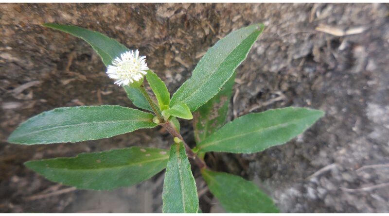 HÀNH TRANG VÀO ĐỜI: NỘI LỰC VÀ NGHỊCH CẢNH