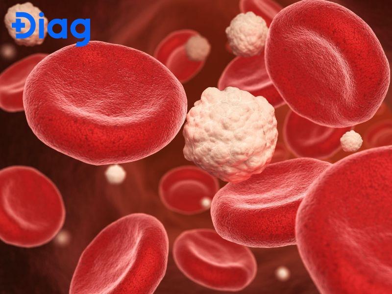 Nồng độ % glucose máu cho biết lượng glucose có trong 100 mL máu.