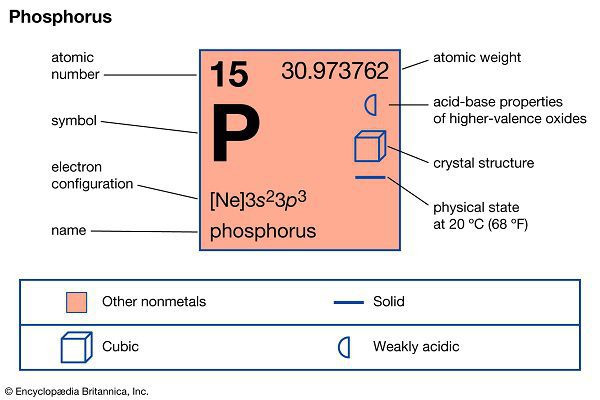 Phốt pho mang nhiều ý nghĩa trong cuộc sống