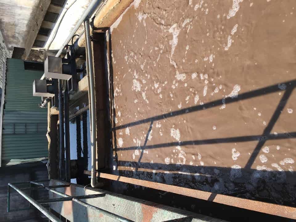 Nước thải công nghiệp thường chứa các ion kim loại nặng