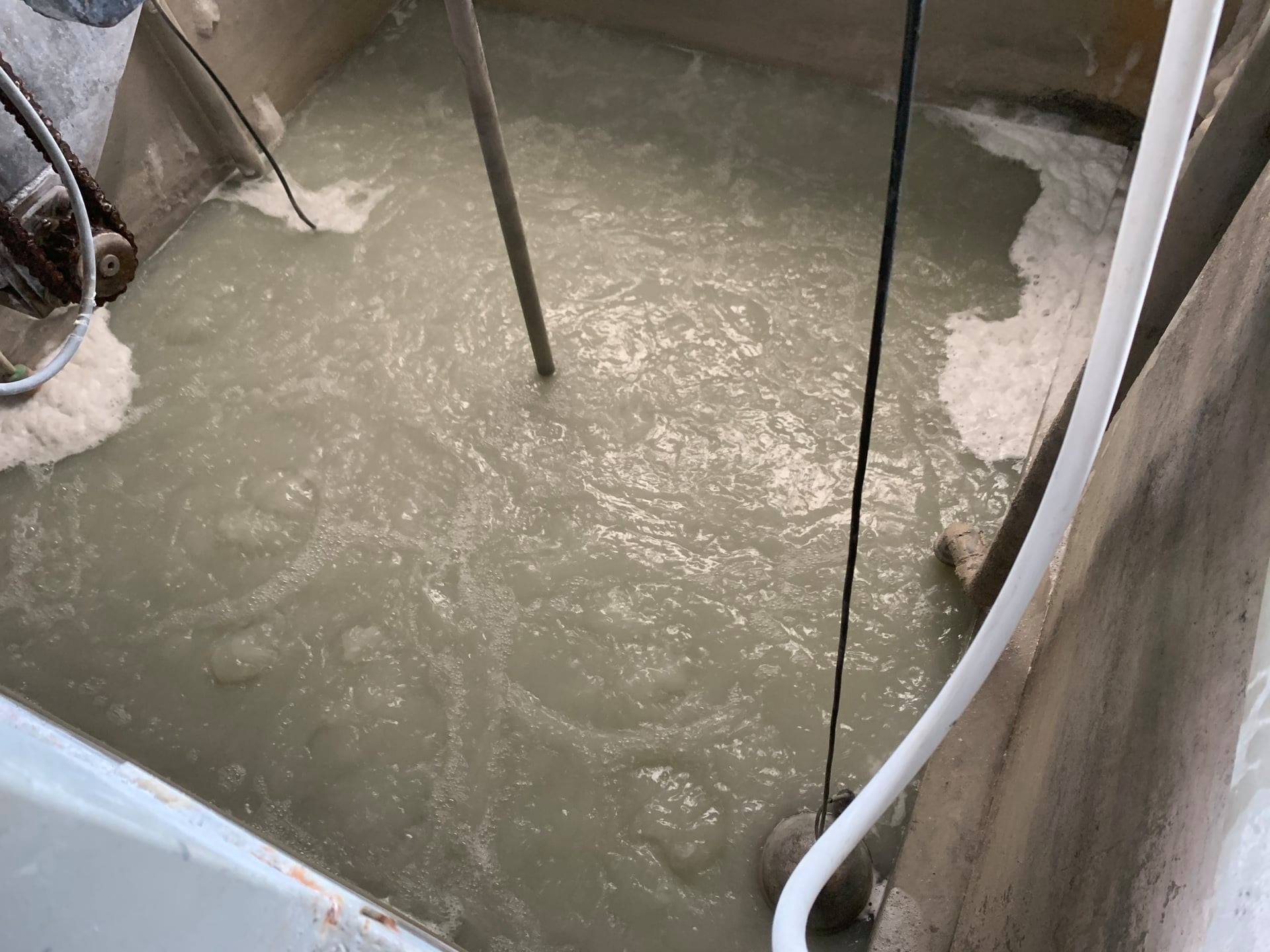 Nước thải công nghiệp thường chứa các ion kim loại nặng nào?