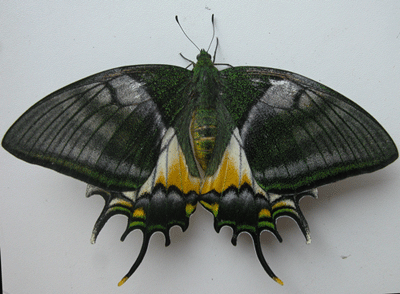 Cổng thông tin du lịch Phú Thọ