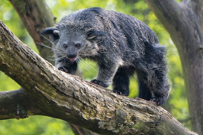 Cổng thông tin du lịch Phú Thọ