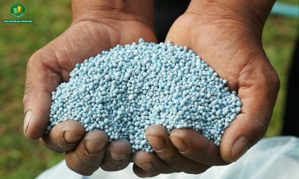 Phân bón làm tăng độ chua của đất Phân lân