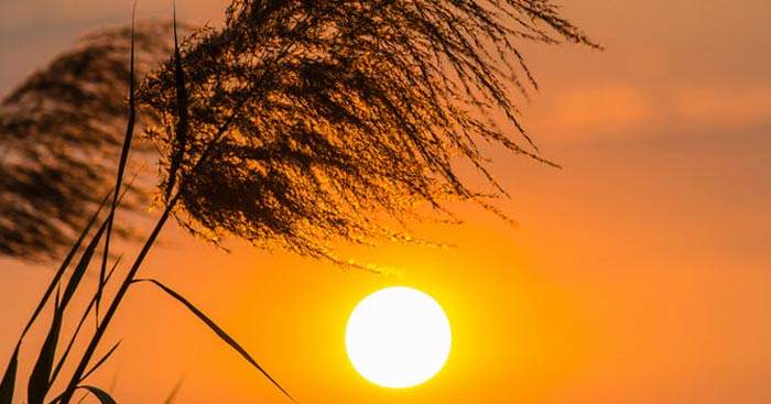 phan tich kho dau bai tu ay