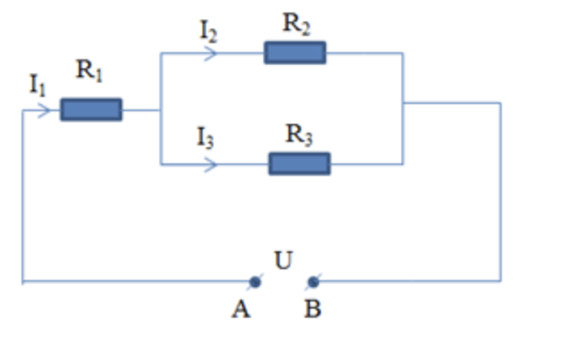 phat bieu dinh luat om 1