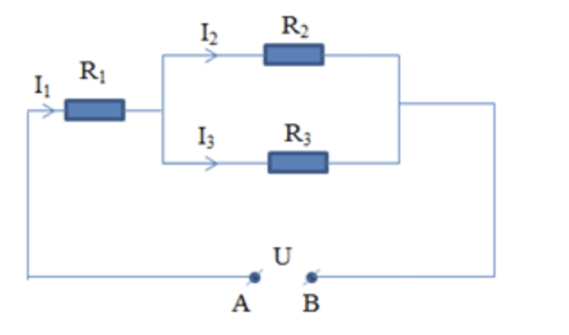 phat bieu dinh luat om 2