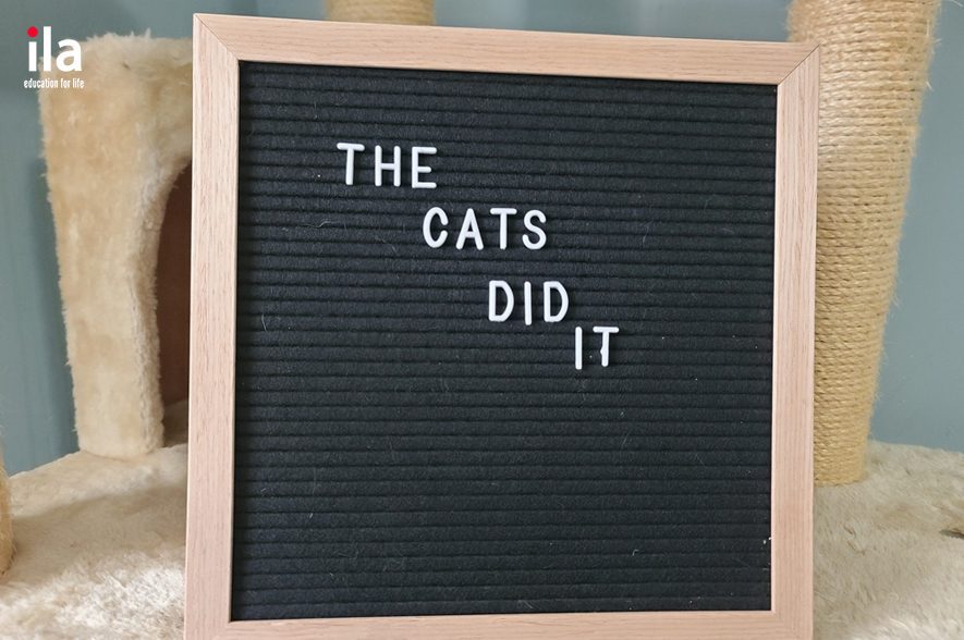 quá khứ của do - 5