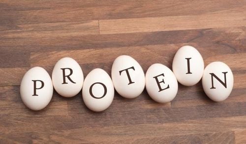 Chuyển hóa protein trong cơ thể giúp tổng hợp protein cần thiết