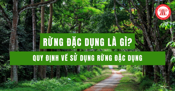Rừng đặc dụng là gì? Quy định về sử dụng rừng đặc dụng