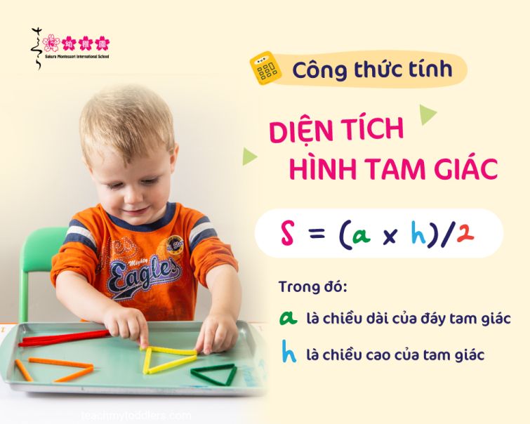 diện tích tam giác