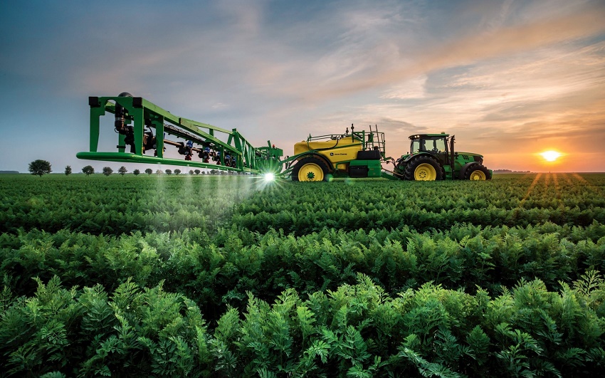 san xuat cay hang nam o nuoc ta hien nay