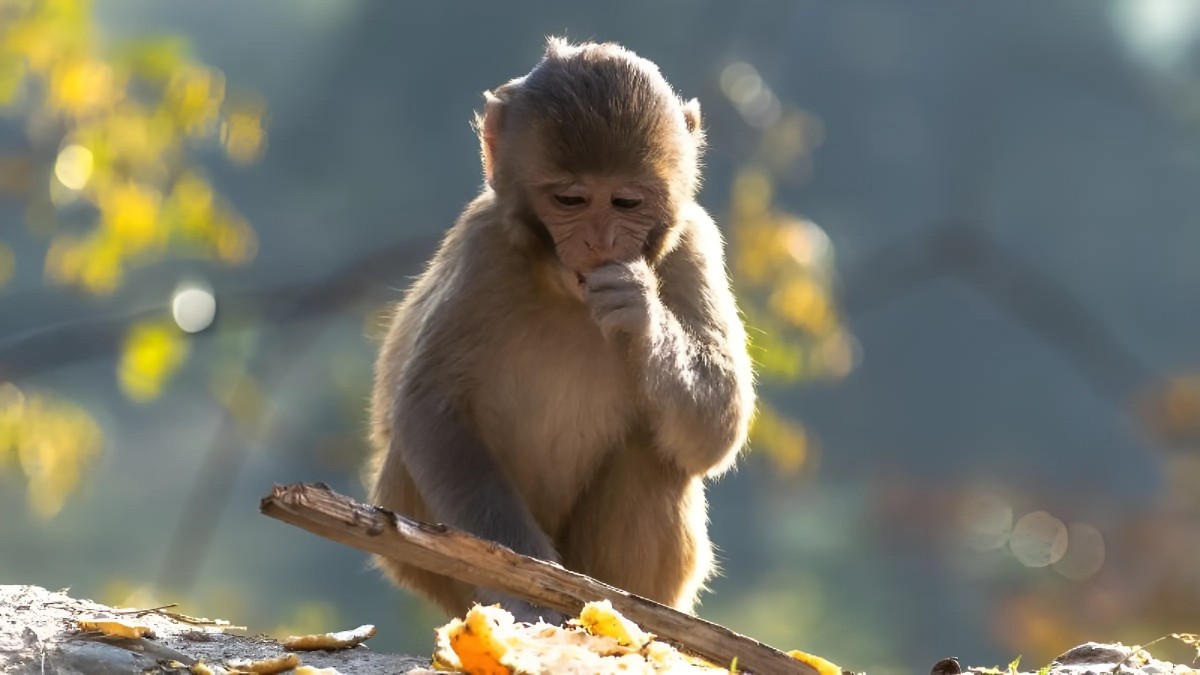 Một số câu hỏi được quan tâm