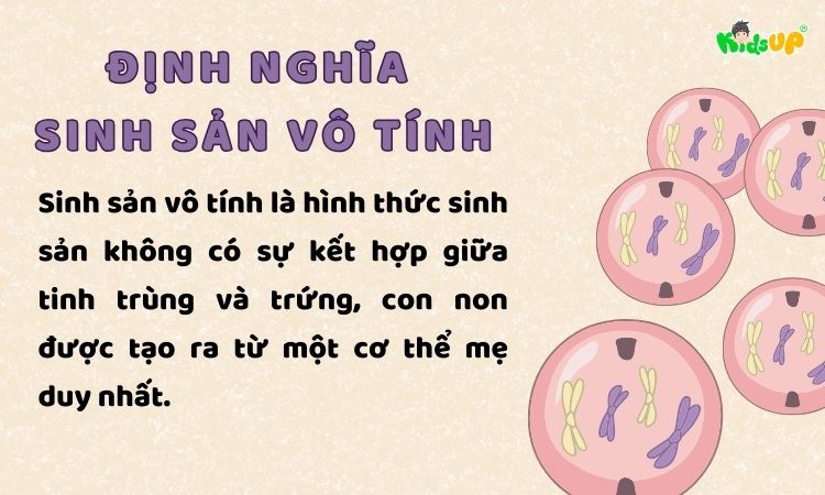 Định nghĩa về di sản vô tính