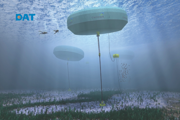 Mật độ năng lượng sóng tăng khi vào nước nông