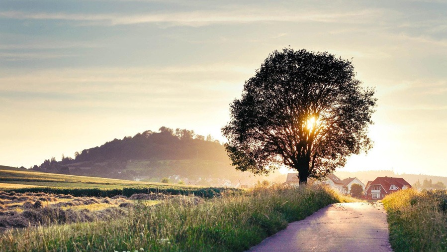 Tả ngày mới ở quê em