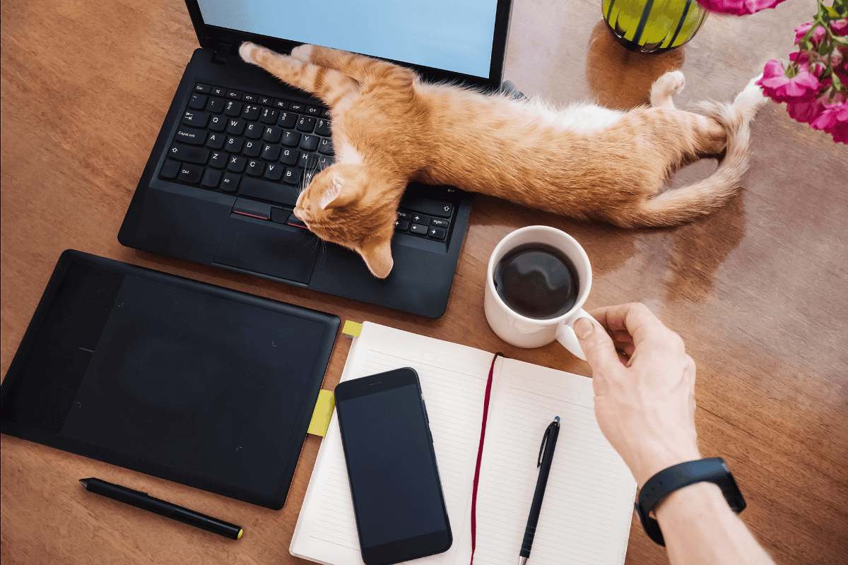 Quyết định có ngủ cùng thú cưng sẽ tùy thuộc vào quyết định của bạn; sẽ có một số lợi ích và rủi ro nhất định