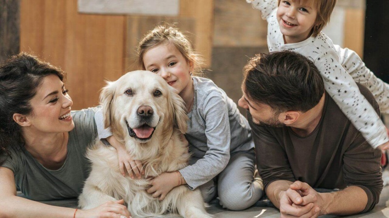 Lợi ích của việc nuôi thú cưng