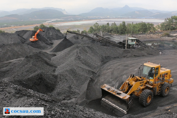 giới thiệu than đá Việt Nam