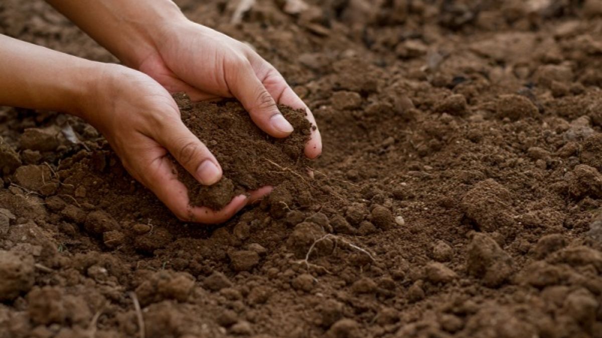 Sinh tháng 9 mệnh cung gì